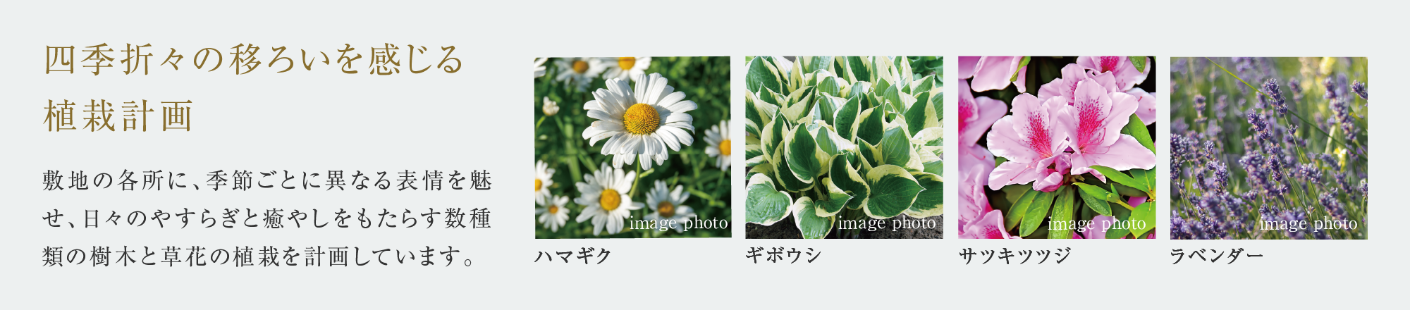 四季折々の移ろいを感じる植栽計画
敷地の各所に、季節ごとに異なる表情を魅せ、日々のやすらぎと癒やしをもたらす数種類の樹木と草花の植栽を計画しています。