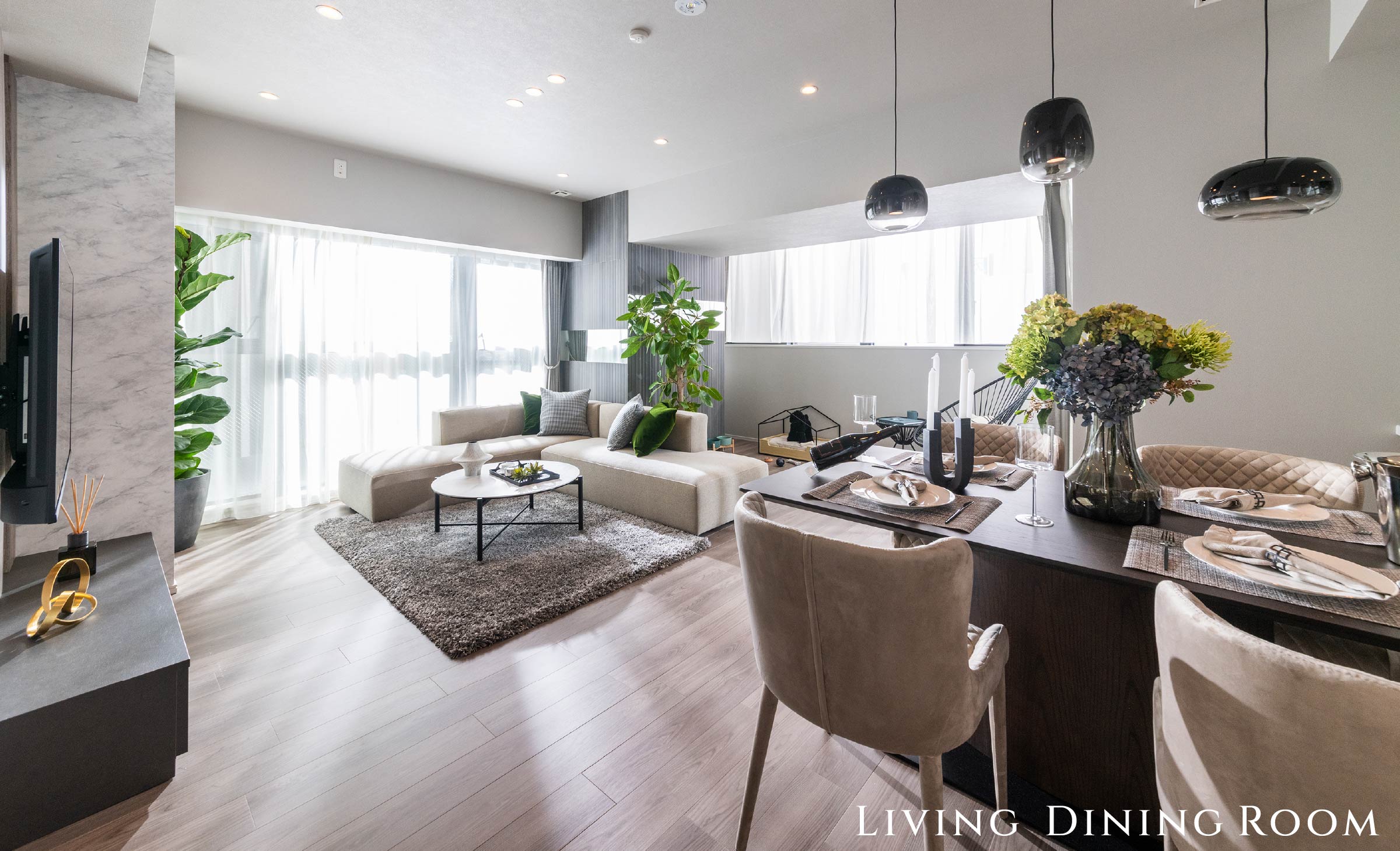 Living DiningRoom