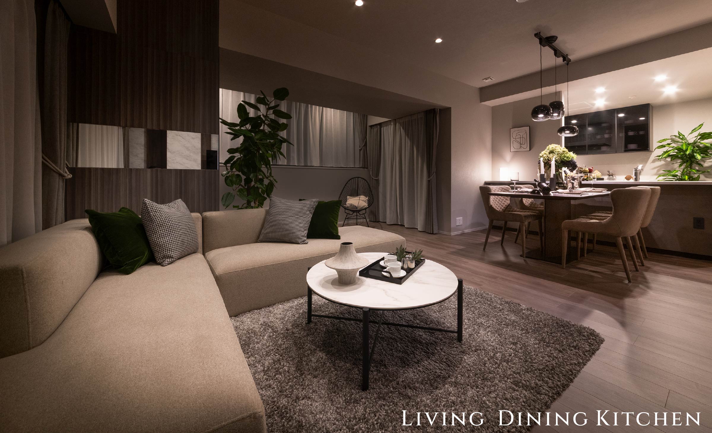 Living DiningKitchen