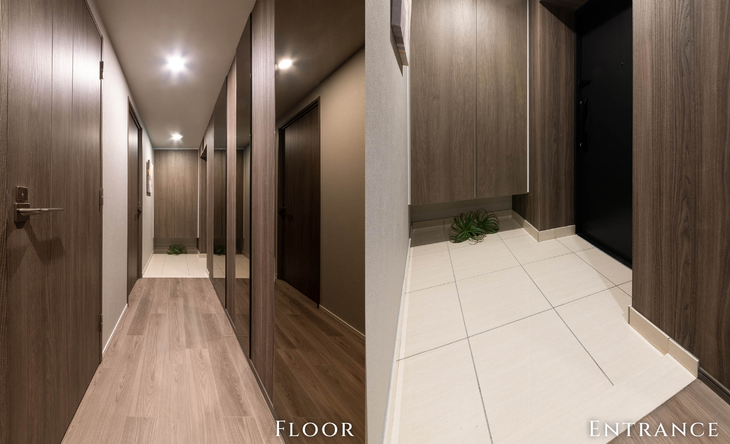Floor & Entrance