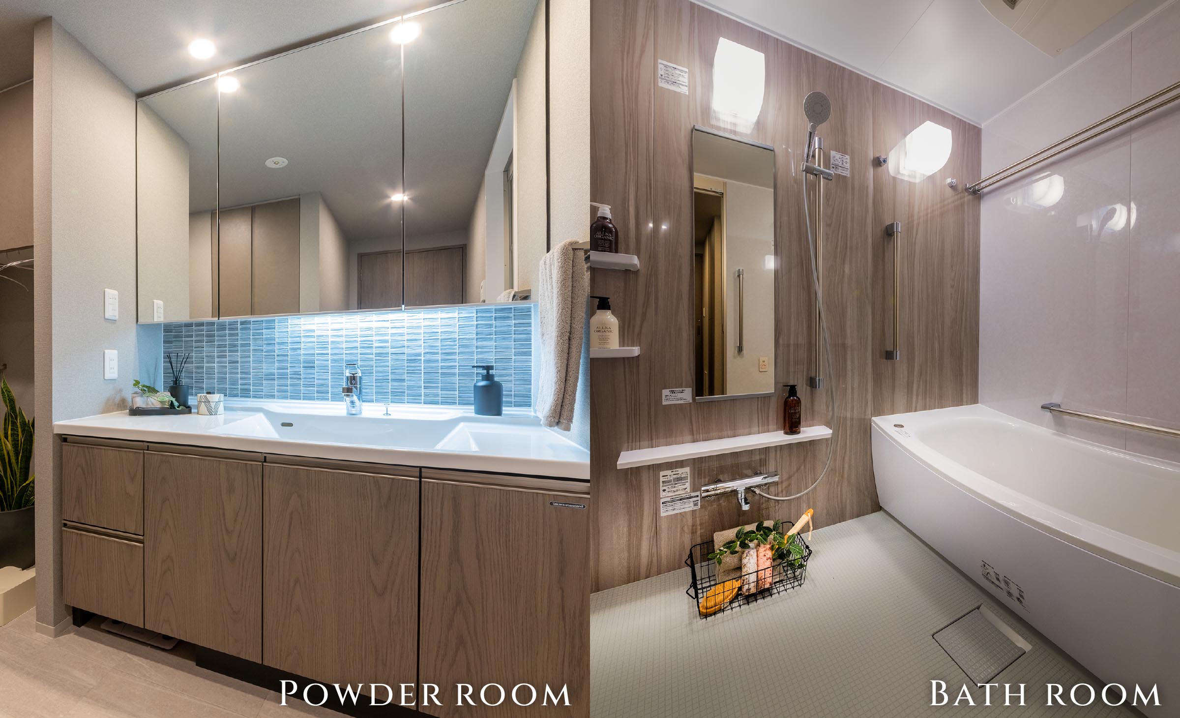 Entrance & Bath room